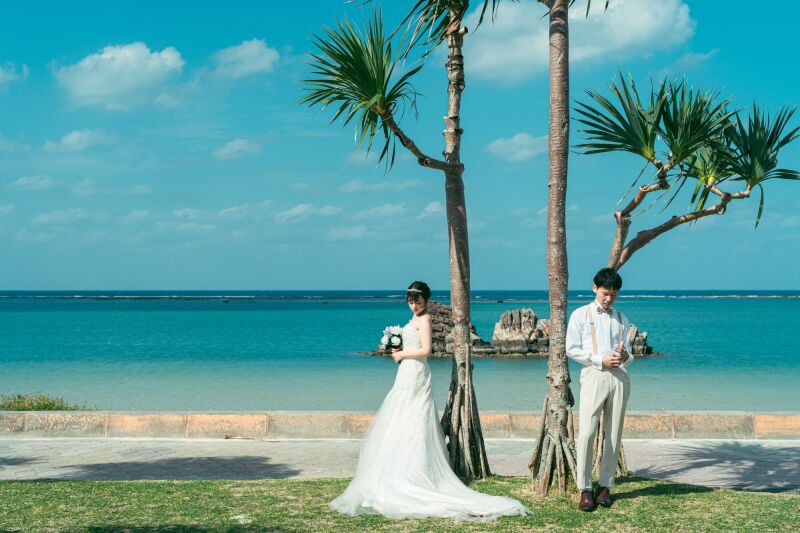 ヤシの木の下で✿