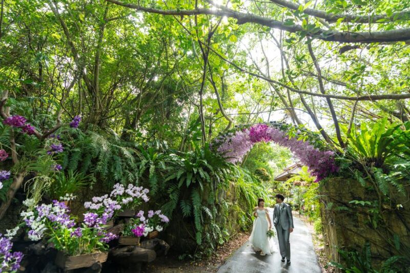 自然がいっぱい♪【ビオスの丘】