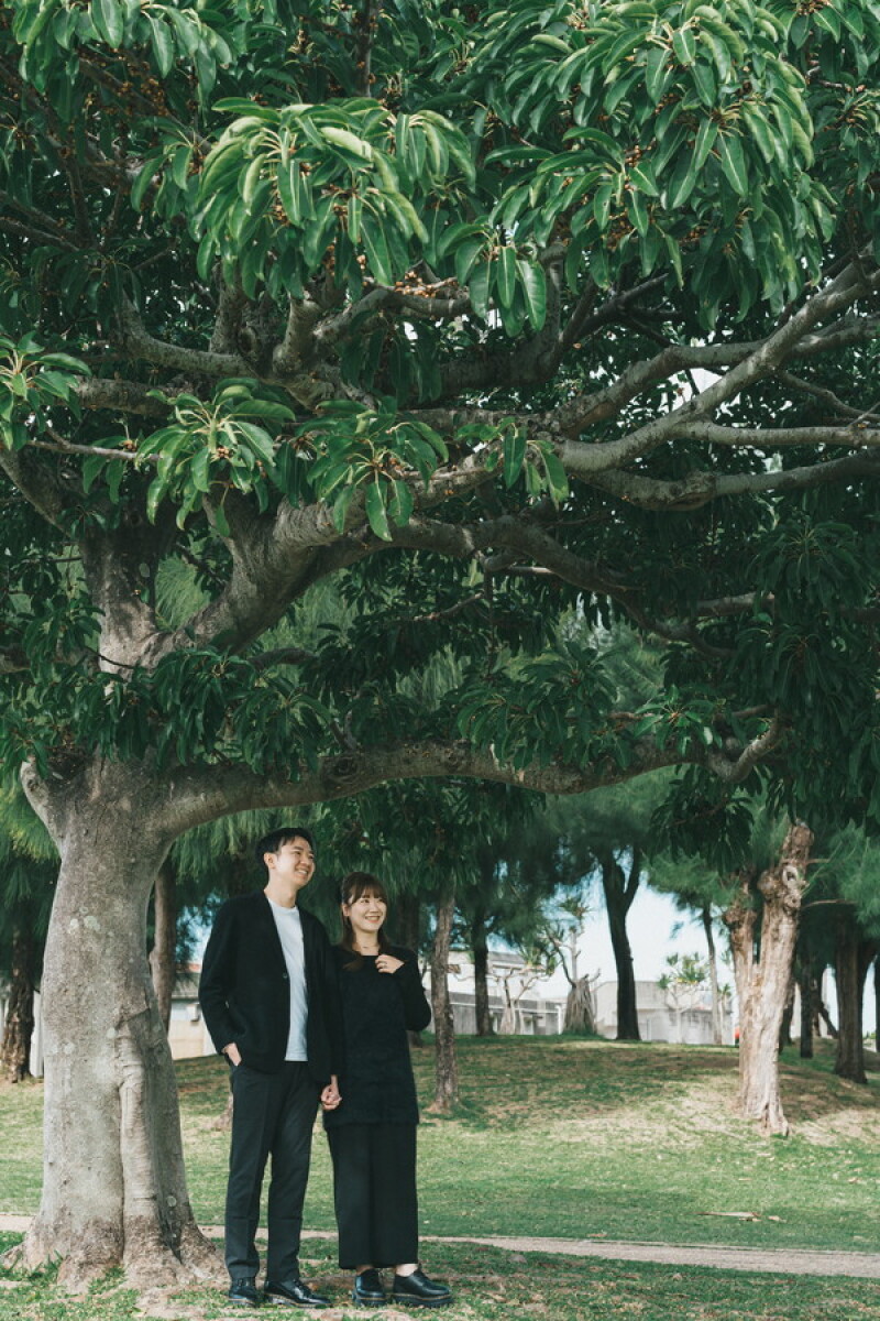 優しい緑に包まれて