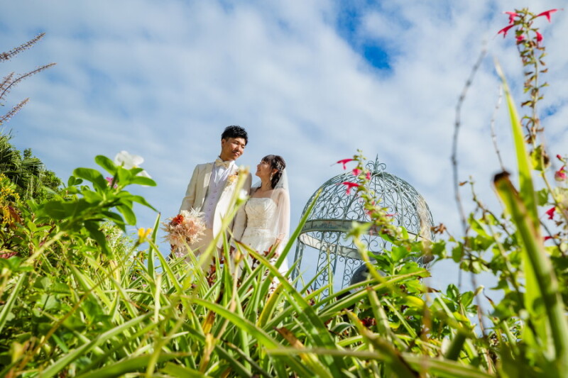 まるでお花畑