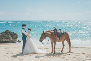 ～沖縄本島　馬＆ビーチ＆草原フォトプラン～