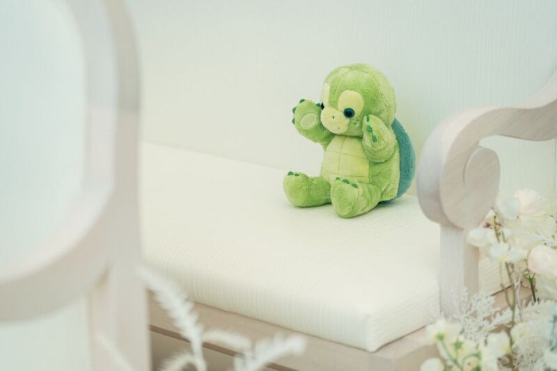 スペシャルゲスト(*^-^*)