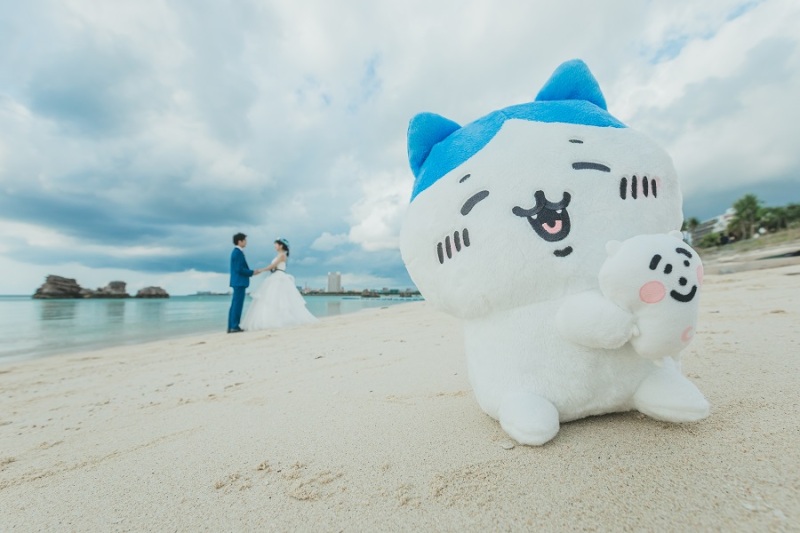 ぬいぐるみを大きく撮ってみました~!