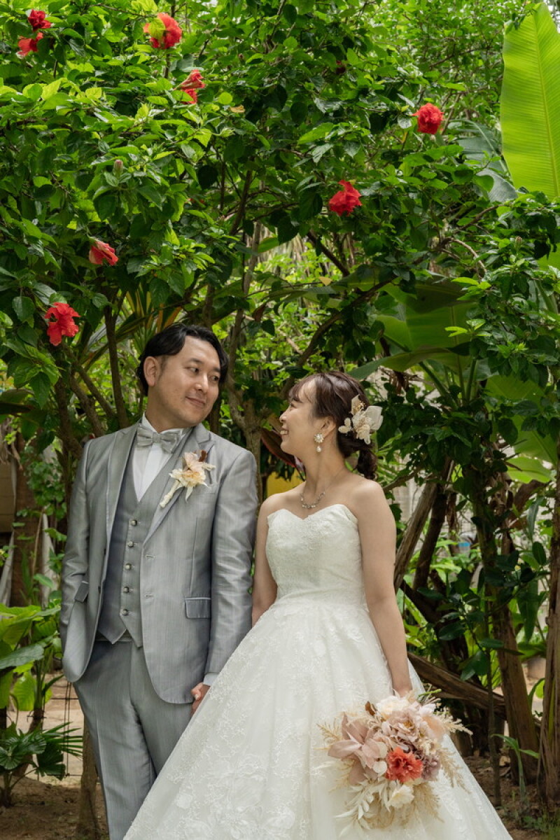 ハイビスカス❀