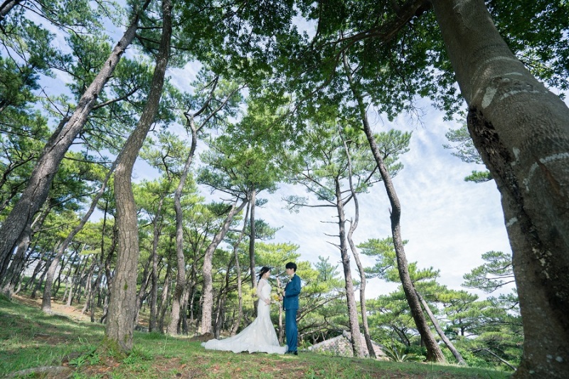座喜味城跡は大きな木々が沢山あります~!
