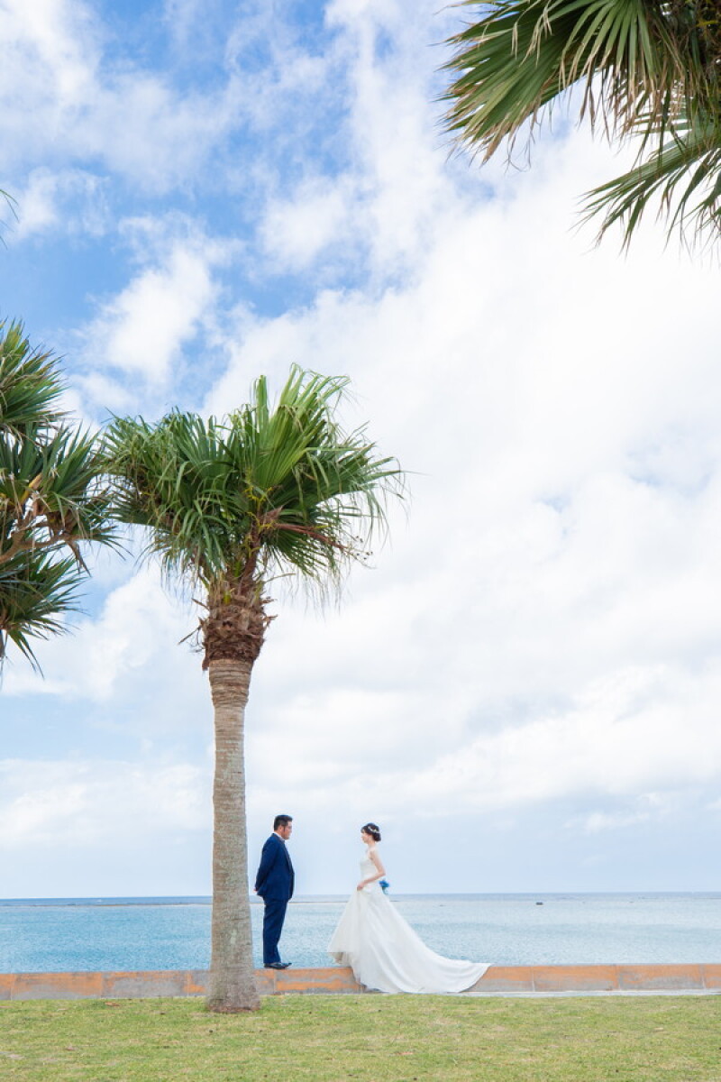 ヤシの木ショット☆