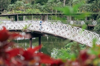 *南国の植物を色々体感出来る東南植物楽園にてフォトウエディング*
