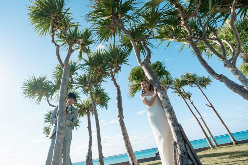 ヤシの木を挟んで♪