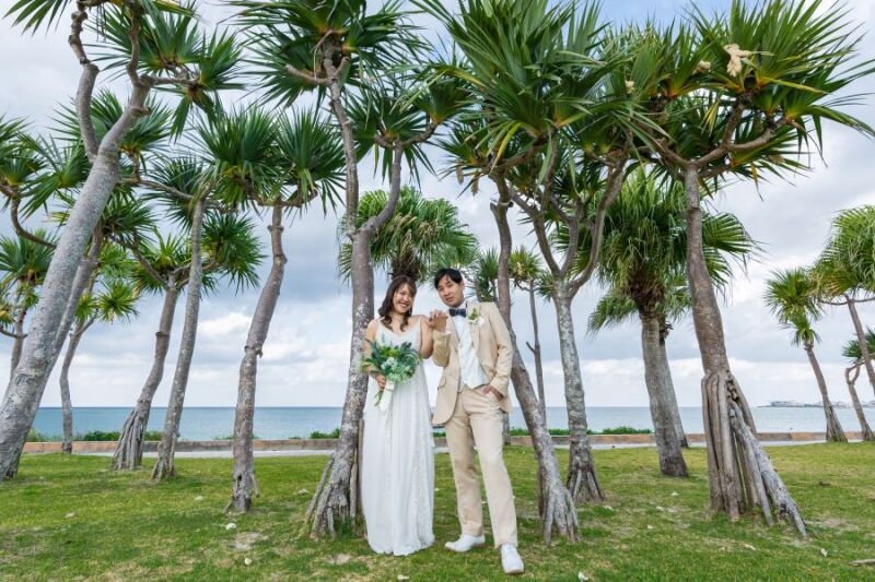 ヤシの木 2SHOT!