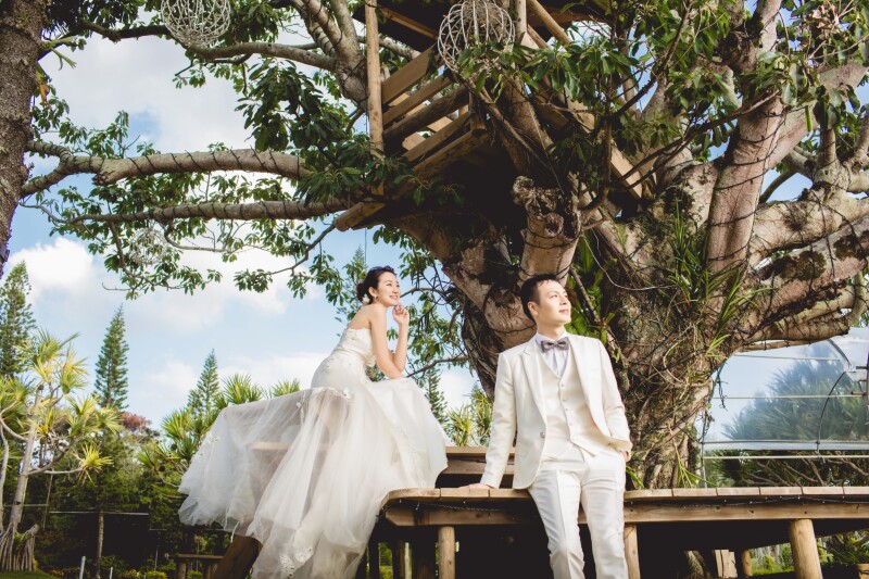 季節ごとの色鮮やかな花々を楽しむ「東南植物楽園」