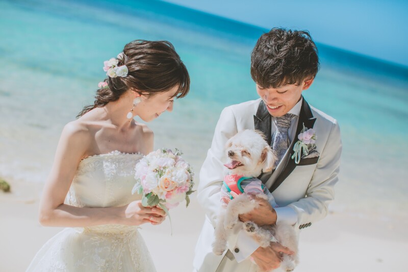CREATIVE STUDIO by ワタベウェディング_ペットと一緒に撮影できる