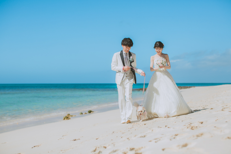 CREATIVE STUDIO by ワタベウェディング_ペットと一緒に撮影できる