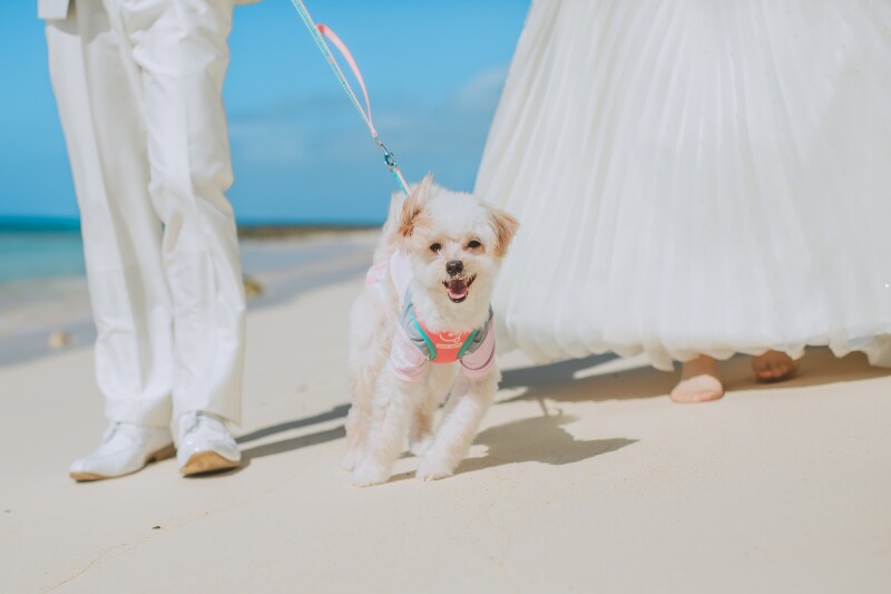 事前のご来館は不要!安心のサポート体制も充実です♡