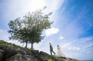 【アルバム】セレクトWebサービス