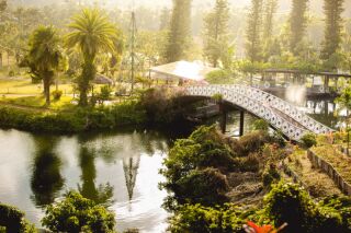 【沖縄本島】撮影ロケーション「東南植物楽園」
