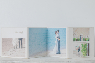 トワル TOILE (8P/12C)