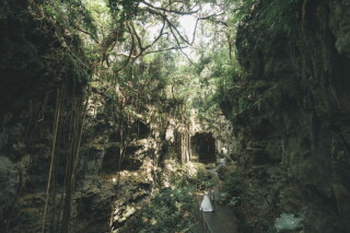 CREATIVE STUDIO by ワタベウェディング_◇森ロケフォト◇自然を感じるグリーンフォト！公園/自然/森