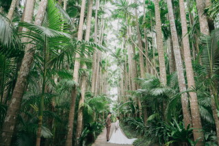CREATIVE STUDIO by ワタベウェディング_◇森ロケフォト◇自然を感じるグリーンフォト！公園/自然/森