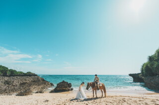 CREATIVE STUDIO by ワタベウェディング_◇ホースフォト、水族館、ペットフォト◇