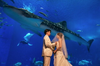 CREATIVE STUDIO by ワタベウェディング_◇ホースフォト、水族館、ペットフォト◇