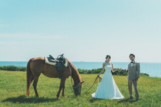 CREATIVE STUDIO by ワタベウェディング_◇ホースフォト、水族館、ペットフォト◇