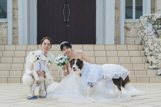 CREATIVE STUDIO by ワタベウェディング_◇ホースフォト、水族館、ペットフォト◇