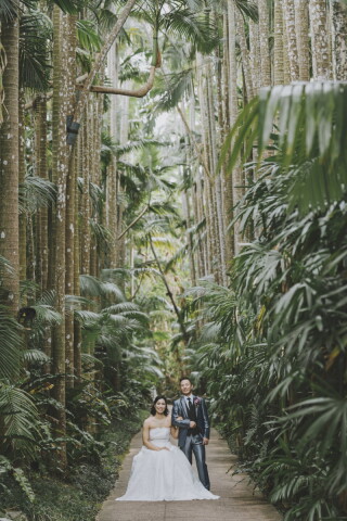 CREATIVE STUDIO by ワタベウェディング_◇森ロケフォト◇自然を感じるグリーンフォト！公園/自然/森