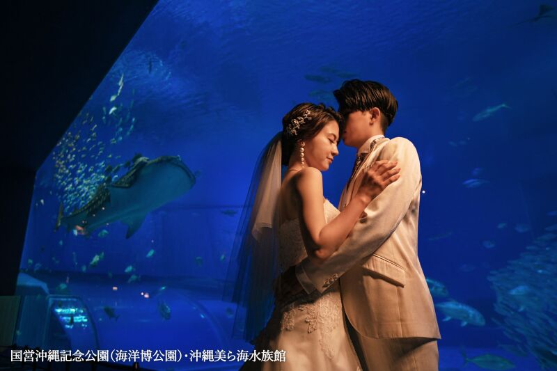 ◇美ら海水族館【黒潮の海】フォトプラン40カット◇お二人だけの貸切フォト☆ジンベイザメやマンタが泳ぐ姿と一緒に幻想的な撮影を…