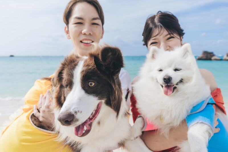 【ペットフォト】≪WithDogフォトプラン≫チャペル+ガーデン+ビーチ100カット【洋装1点/アクアグレイス・チャペル】】