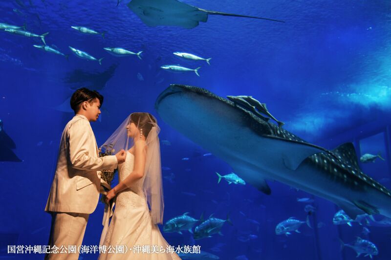 ◇美ら海水族館【黒潮の海】フォトプラン40カット◇お二人だけの貸切フォト☆ジンベイザメやマンタが泳ぐ姿と一緒に幻想的な撮影を…