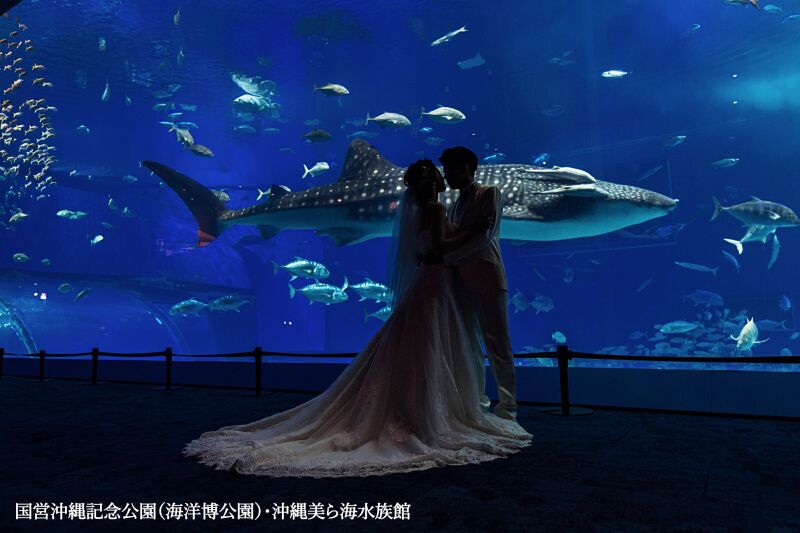◇美ら海水族館【黒潮の海】フォトプラン40カット◇お二人だけの貸切フォト☆ジンベイザメやマンタが泳ぐ姿と一緒に幻想的な撮影を…