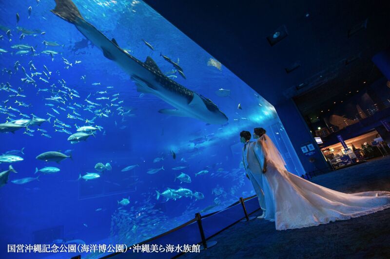 ◇美ら海水族館【黒潮の海】フォトプラン40カット◇お二人だけの貸切フォト☆ジンベイザメやマンタが泳ぐ姿と一緒に幻想的な撮影を…