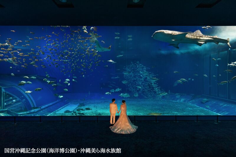 ◇美ら海水族館【黒潮の海】フォトプラン40カット◇お二人だけの貸切フォト☆ジンベイザメやマンタが泳ぐ姿と一緒に幻想的な撮影を…