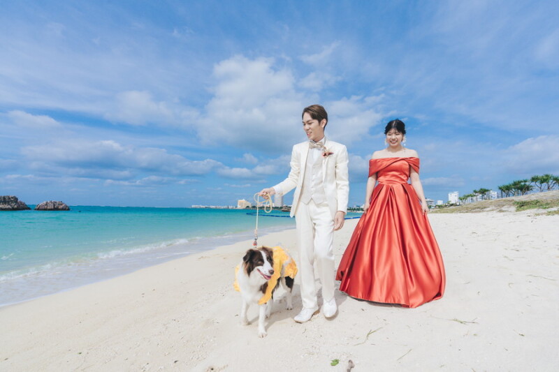 【ペットフォト】≪WithDogフォトプラン≫チャペル+ガーデン+ビーチ100カット【洋装1点/アクアグレイス・チャペル】】