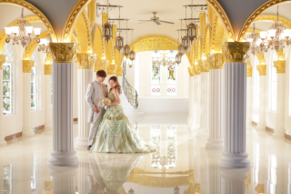 和洋２着+12ｶｯﾄｱﾙﾊﾞﾑﾌﾟﾗﾝ