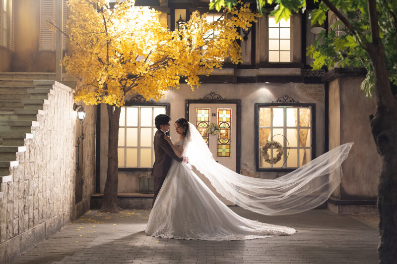 イチョウの木の下で