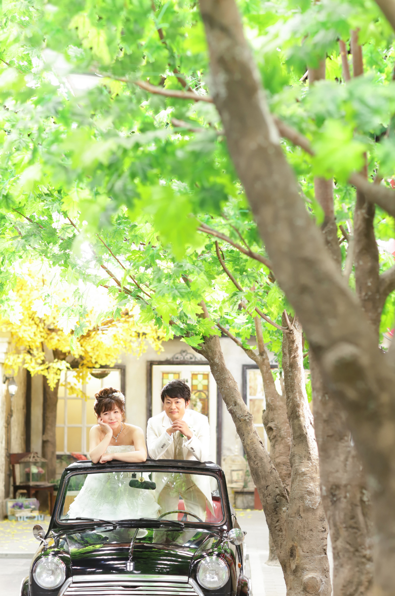 木漏れ日溢れる緑の下で…