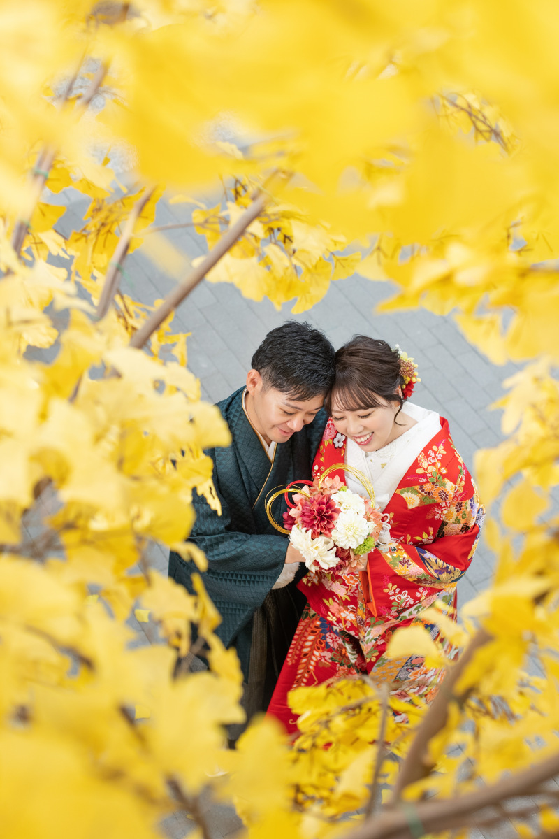 イチョウの木の下では