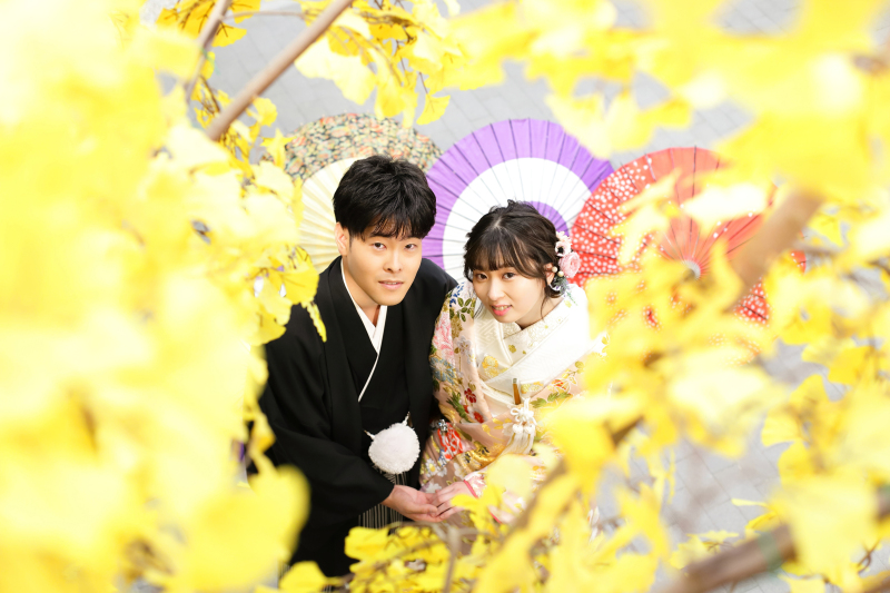 イチョウの葉に囲まれて。