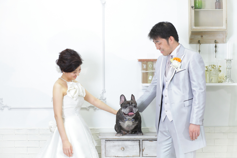 どん！とした存在感