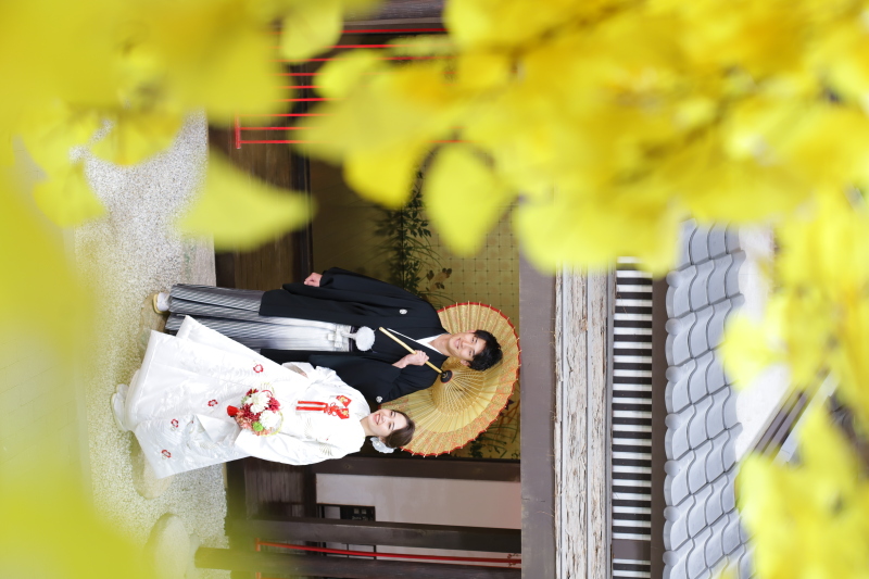 イチョウを入れて