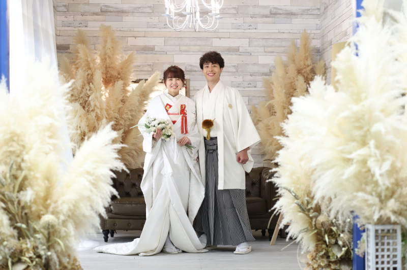 ふんわりパンパス。