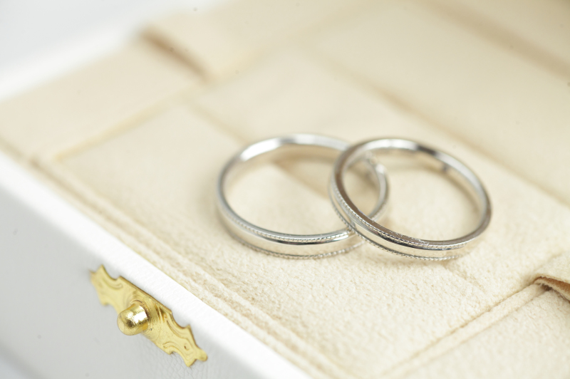 オーガンジー和装