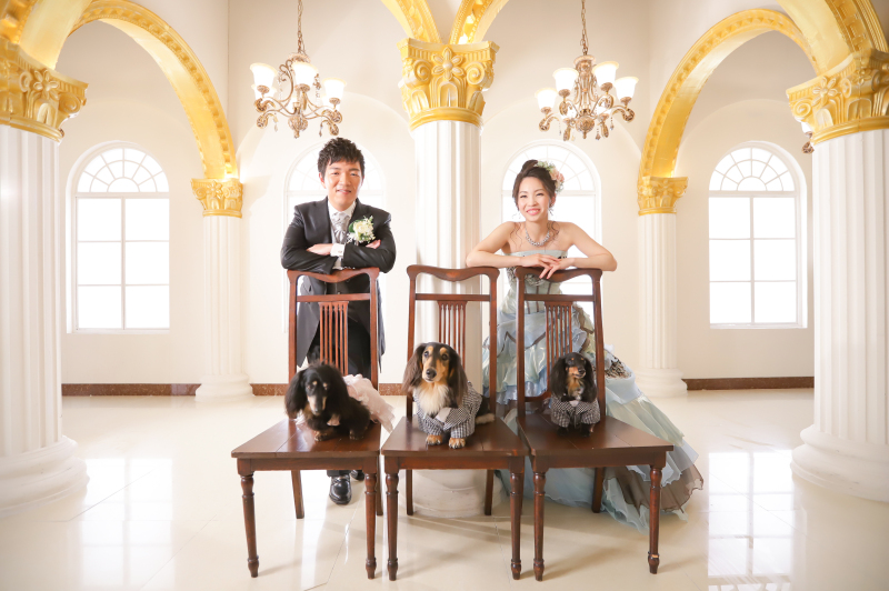 オレンジスタジオNAGOYA_ペットと一緒に撮影できる