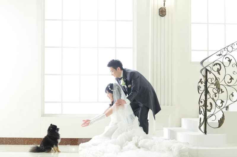 オレンジスタジオNAGOYA_ペットと一緒に撮影できる