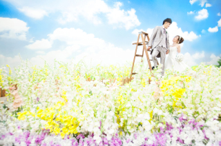 天候に左右されない花畑！