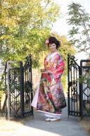 Ｋ181（プラン内）