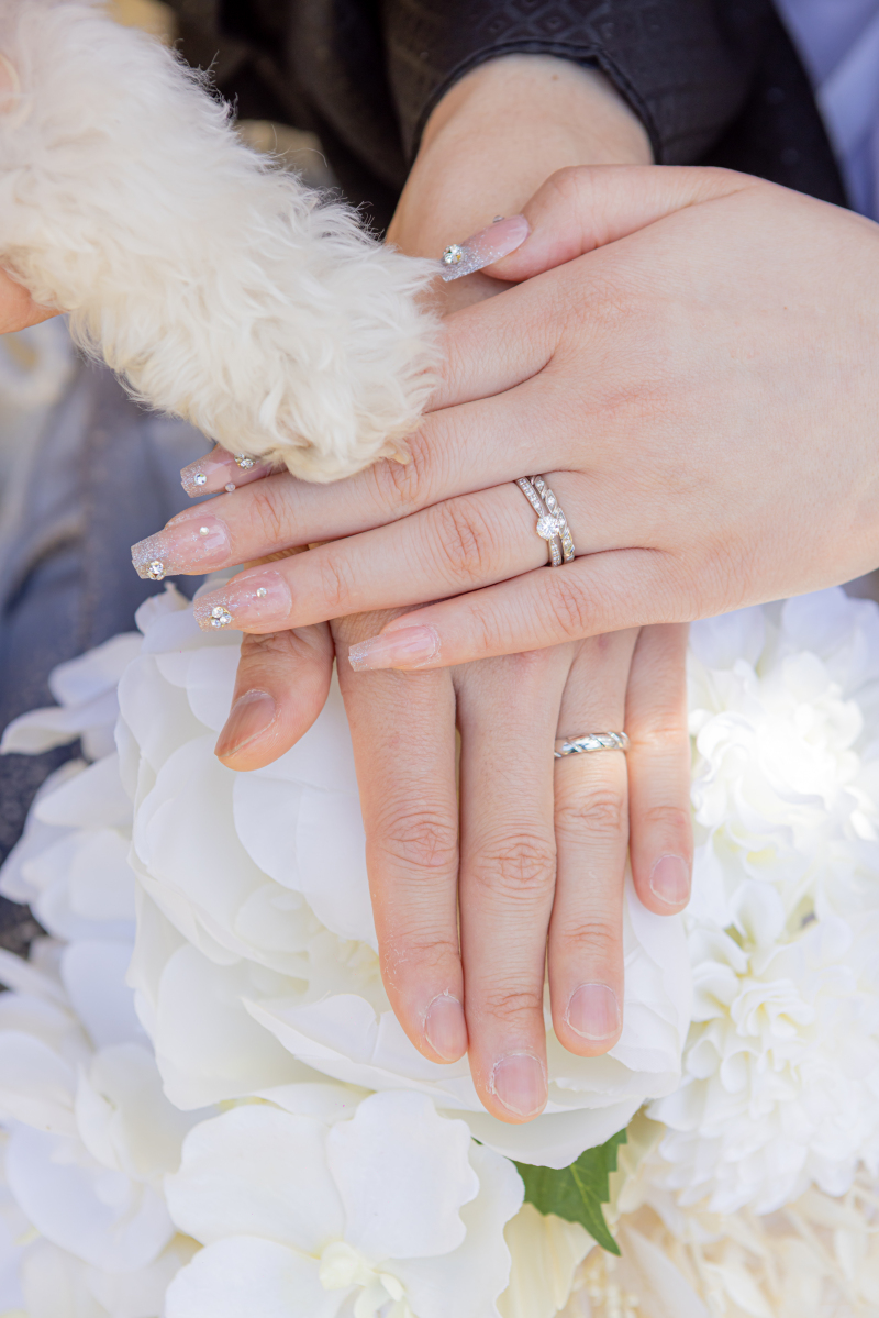 いつもなら二人だけど、今日はわんこも