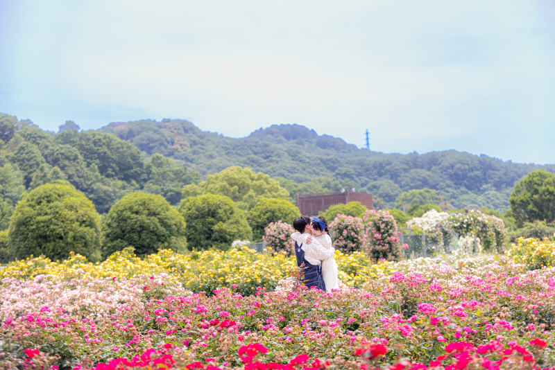 バラ満開のローズガーデンで私服撮影を