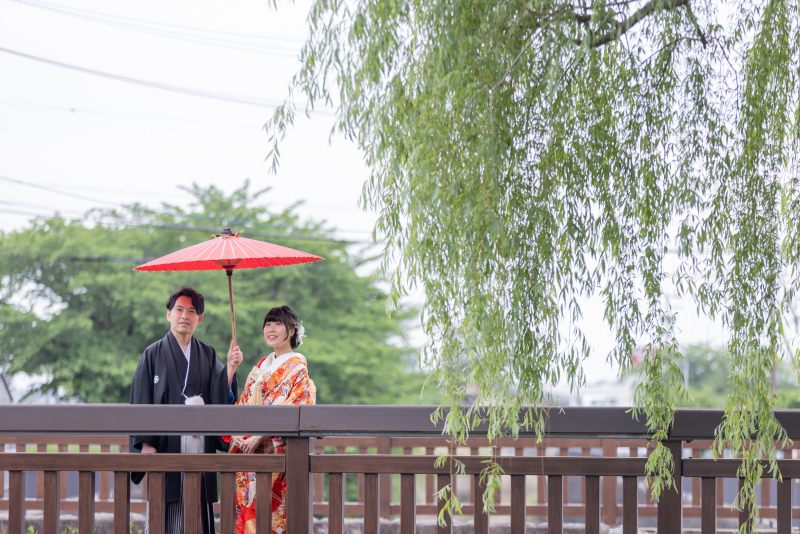 枝垂れの枝と橋でかっこよく